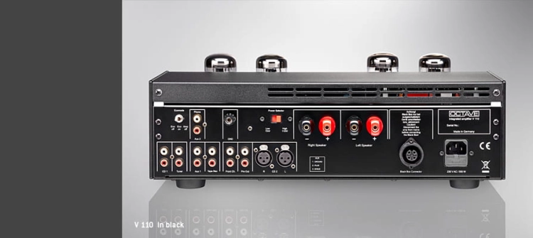 v110_black_rw.jpg