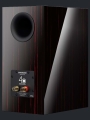 dynaudio-special-forty_blackvine_back.jpg