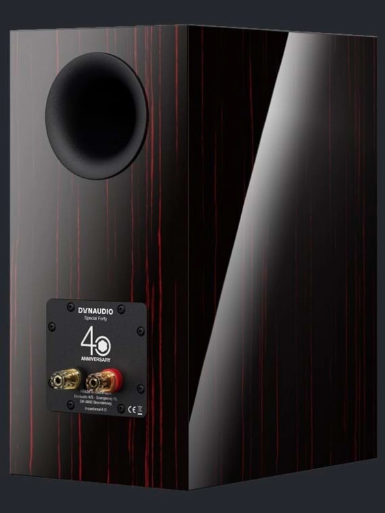 dynaudio-special-forty_blackvine_back.jpg