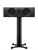 Dynaudio Emit 25C