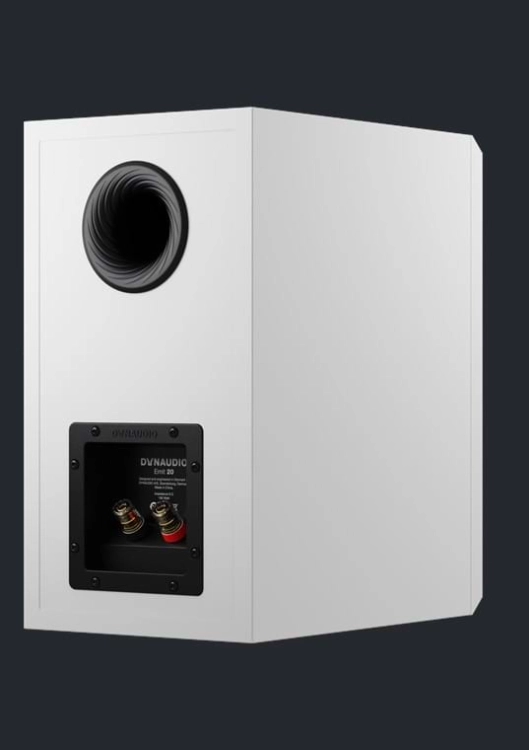 dynaudioemit20_white_04.jpg