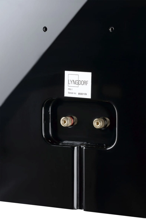 Lyngdorf FR-1 black closeup3.jpg