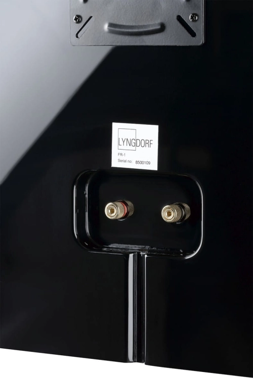 Lyngdorf FR-1 black closeup4.jpg