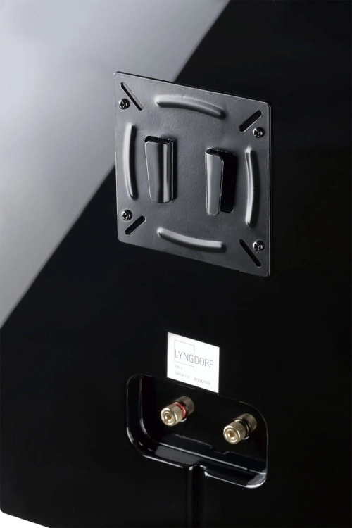 Lyngdorf FR-1 black closeup5.jpg