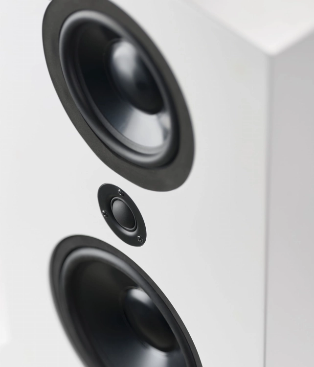 Lyngdorf FR-1 closeup.jpg