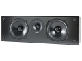 Polk Audio T30.jpg