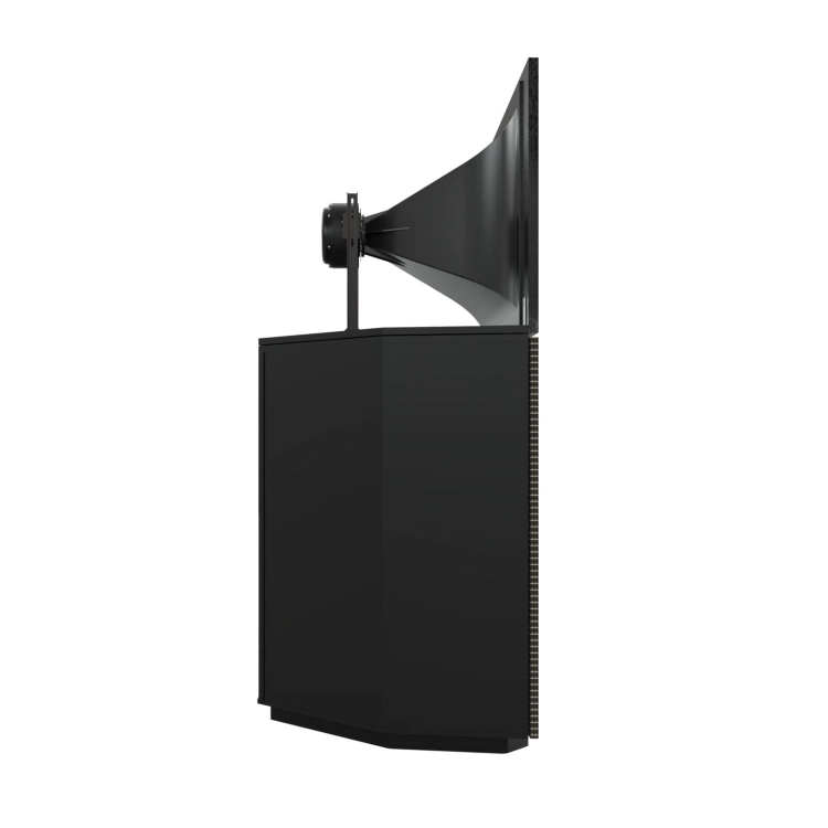 Web Ready-Jubilee 2021 - Black - Side.jpg