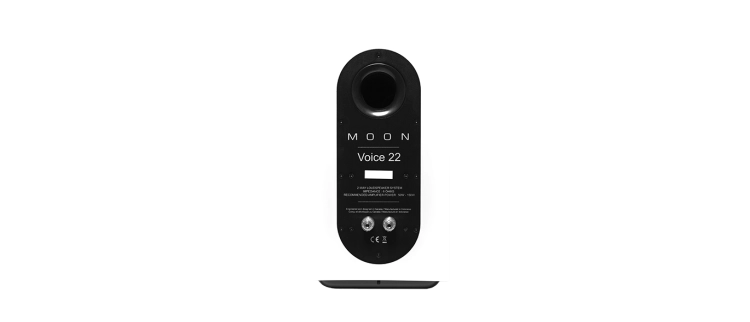 MOON VOICE 22 WHITE_03.png