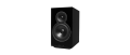 MOON VOICE 22 BLACK_01.png