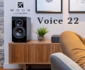 Voice_22.jpg