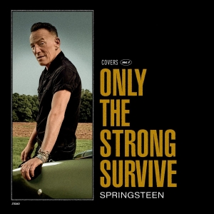 BRUCE SPRINGSTEEN - ONLY THE STRONG SURVIVE /  SONY MUSIC 2LP VINYL