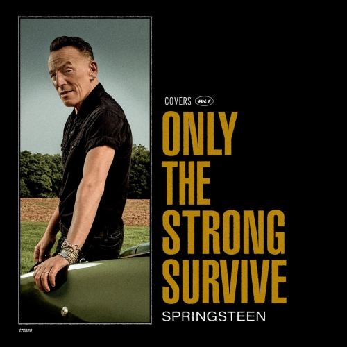 BRUCE SPRINGSTEEN - ONLY THE STRONG SURVIVE - SONY MUSIC 2LP VINYL.jpg