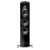 Sonus Faber Olimpica III Black_2.jpg