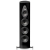 Sonus Faber Olimpica V Black_2.jpg