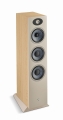 Focal THEVA N°3 LIGHT WOOD_03.jpg