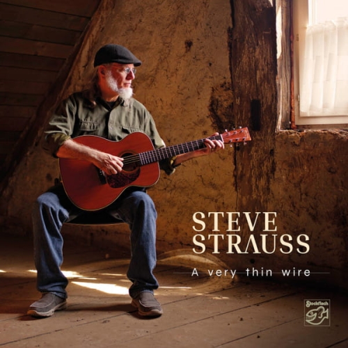 STEVE STRAUSS – A Very Thin Wire.jpg