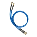 Sky IC for web 2.jpg