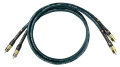 Parsec IC for web 2.jpg