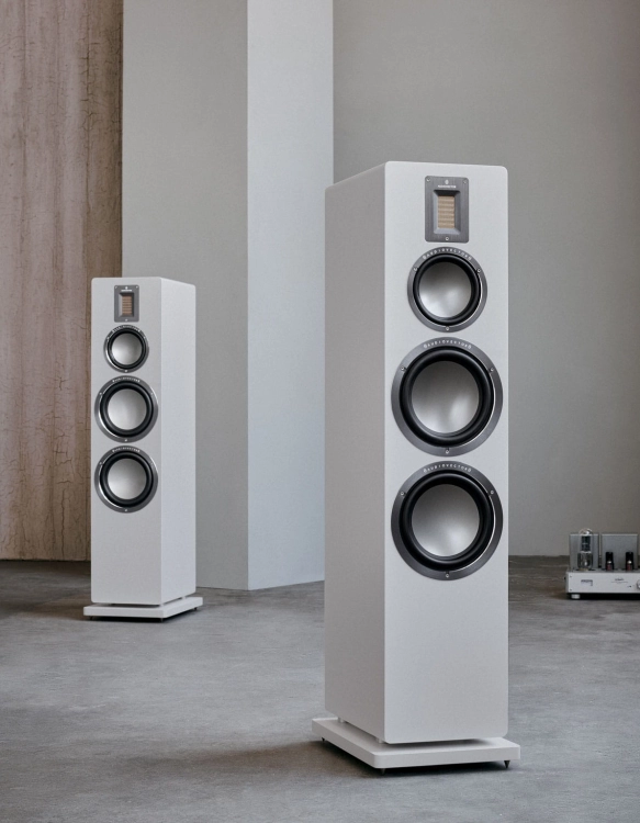 AUDIOVECTOR202223804-1.jpg