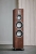 AUDIOVECTOR202223715-1.jpg