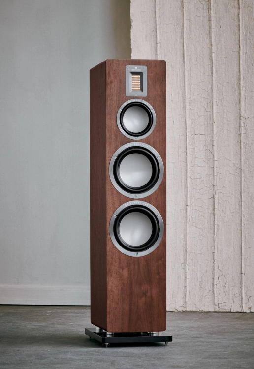 AUDIOVECTOR202223715-1.jpg