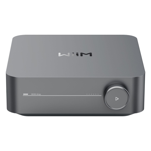 wiim-amp-1s.jpg