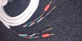 20240424_121951.jpg