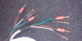 20240424_121957.jpg