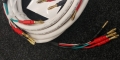 20240424_123242.jpg