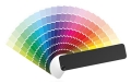 customcolor.jpg