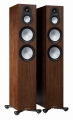 MA_Silver_300_ISO_Pair_Walnut.jpg