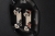 AVimg_35690.jpg