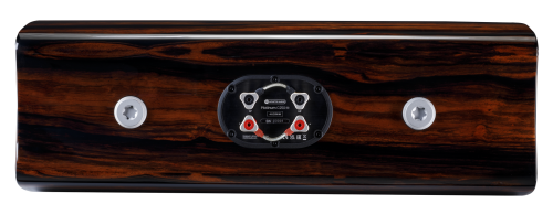MA_Platinum_C250_Back_Ebony.png