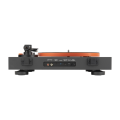 JBL Spinner BT Back View Lid Off v3.png