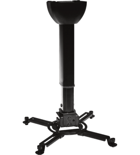 spider-small-4060-b@1.png