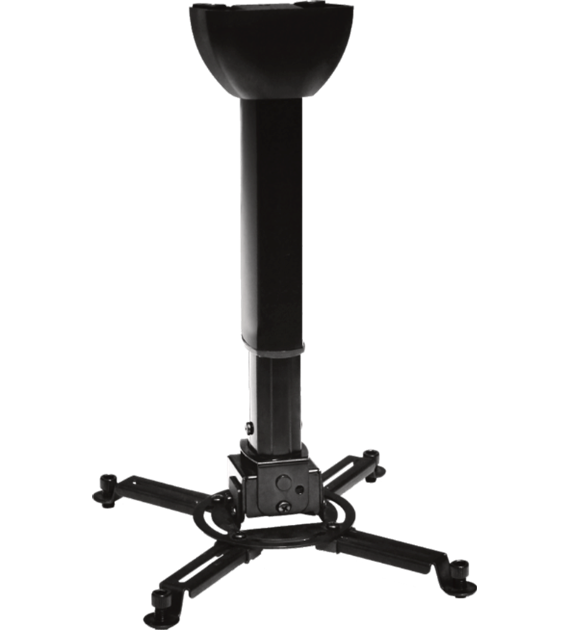 spider-small-4060-b@1.png