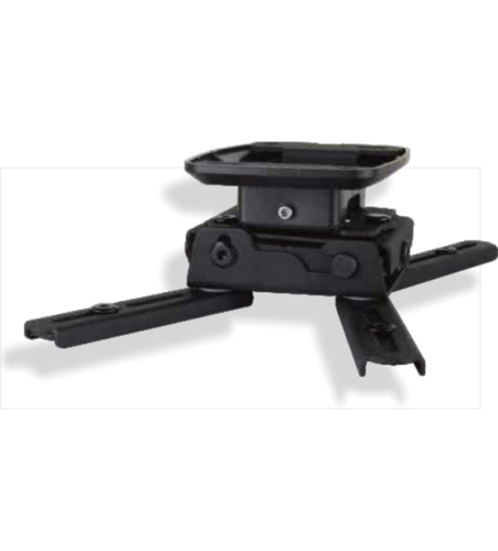 spider-elegant-8-b.png