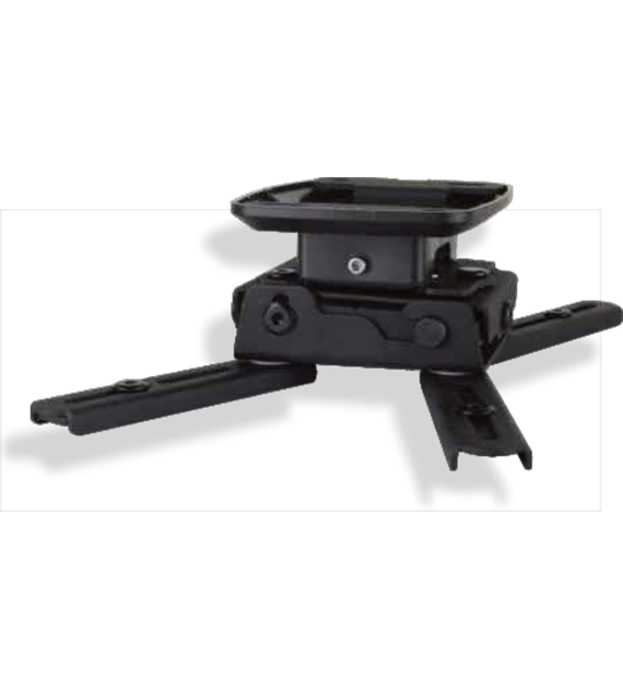 spider-elegant-8-b.png
