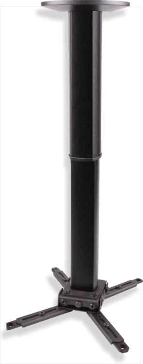 spider-elegant-4070-b.png