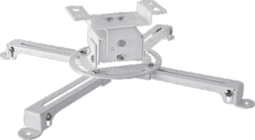 spider-small-10-w@1.png