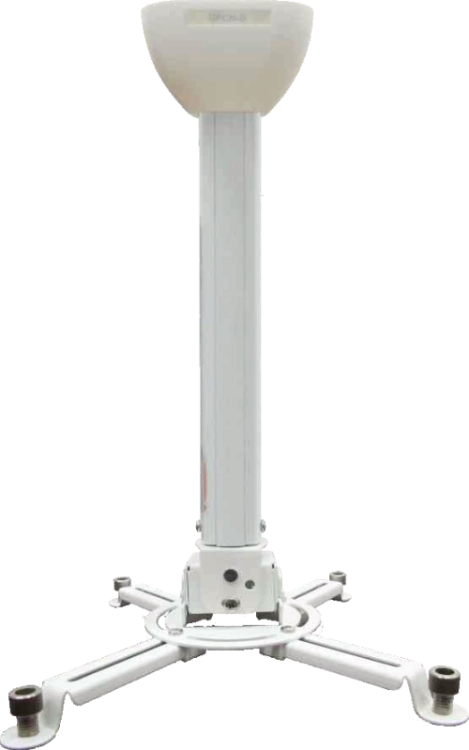 spider-small-3040-w@1.png