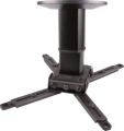 spider-elegant-1525-b@1.png