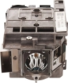 71QHrKA-X4L._AC_UF894,1000_QL80_.jpg