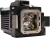 61wmEeV8g7L._AC_UF894,1000_QL80_.jpg