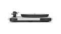 RS_Attessa_TT_Rear_White.png
