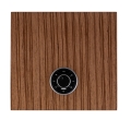 2024-07-24 R610 Walnut top.jpg
