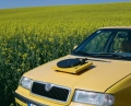 Debut-EVO-2-Car.webp