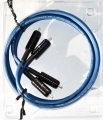 wireworld_oasis8_rca10.jpg