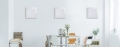 sf3-lifestyle-concept-1.jpg