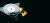 The-Dark-Side-Of-The-Moon-3.webp